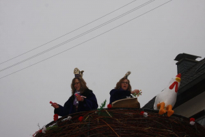 frauenstein2020-15E32DAA44-750D-9C4D-9F06-38FA59ECF34A